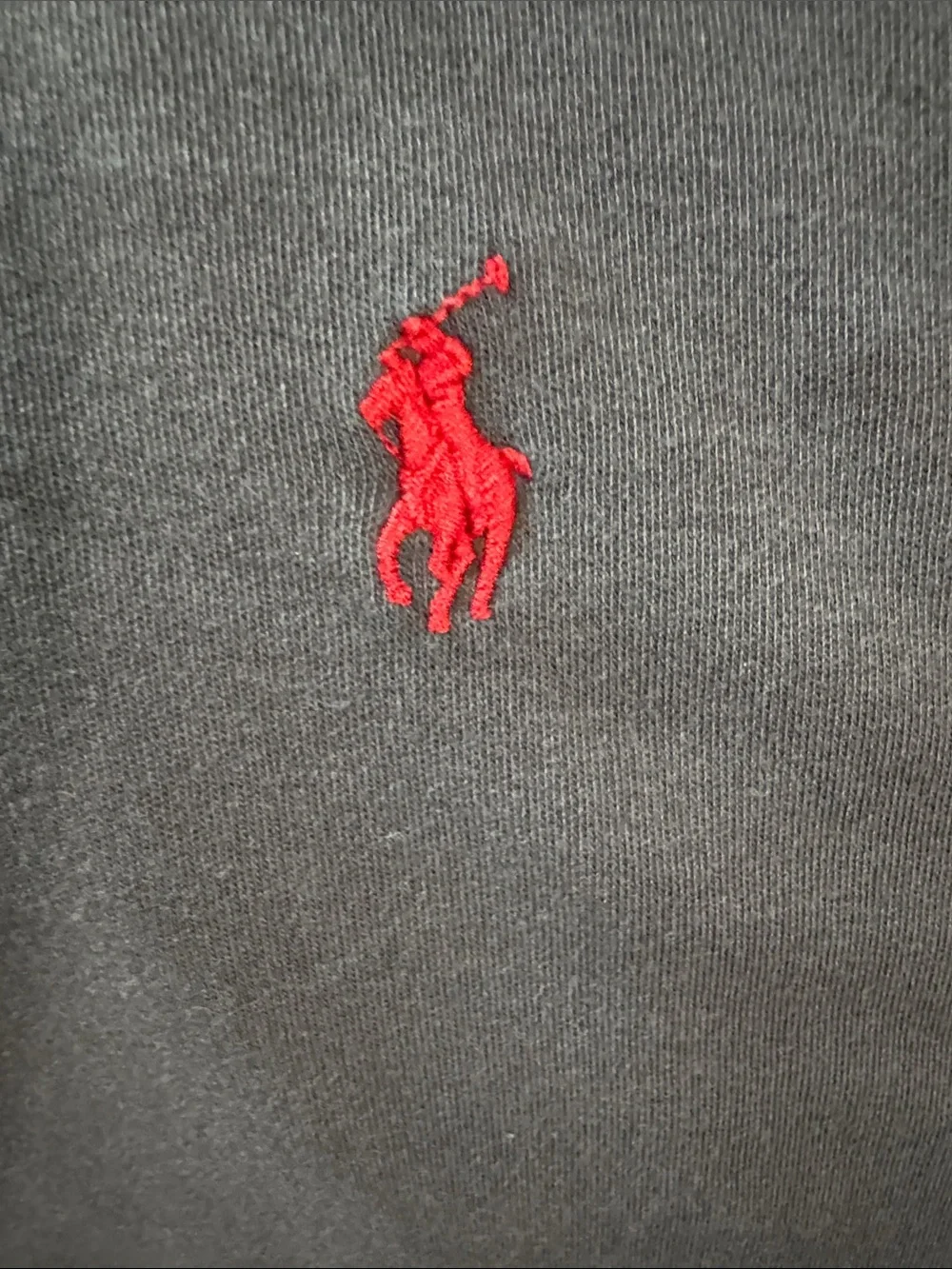 Polo by Ralph Lauren Brown Polo with Red Pony Embroidery